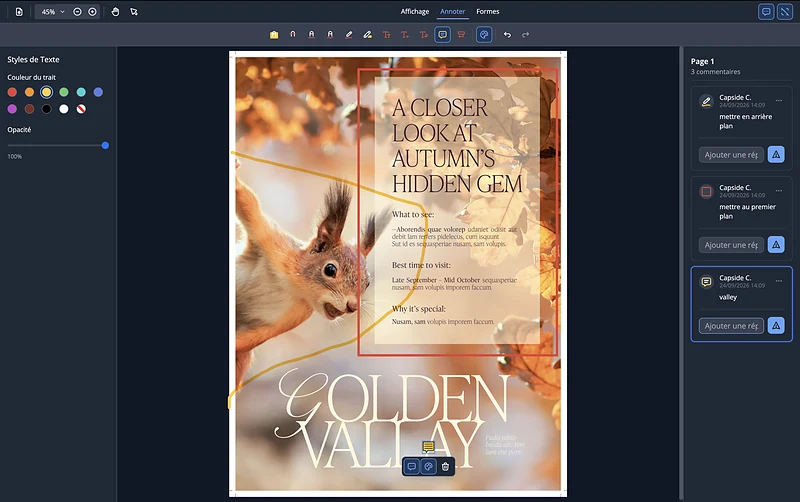 Annotation d'une page PDF : cadre, tracé à main levée et note posés sur la page, commentaires des relecteurs dans la colonne de droite